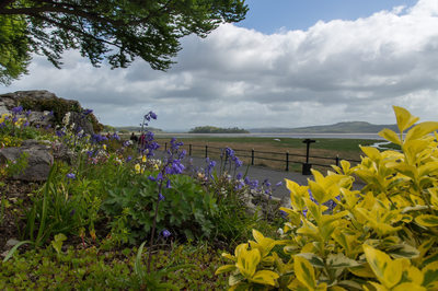 Grange-over-Sands Promenade view 2