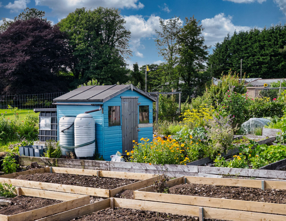 Allotments at Grange Fell and Yewbarrow Terrace 
